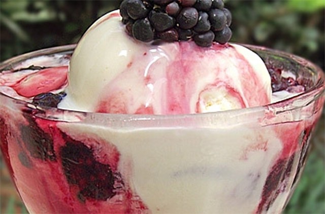 Black Raspberry Syrup – Panelaterapia