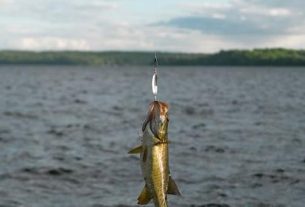 Fishing for Large and Small Mouth Bass