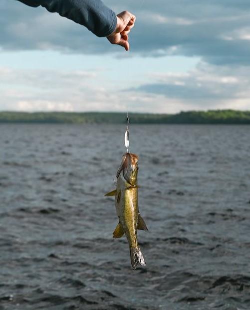 Fishing for Large and Small Mouth Bass