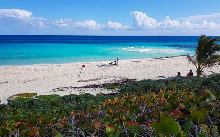 Beach in Cozumel (Photo: This World is Ours)