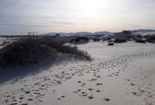 Melhores Coisas Para Fazer no Parque Nacional de White Sands no Novo México, EUA