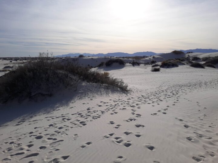 Melhores Coisas Para Fazer no Parque Nacional de White Sands no Novo México, EUA