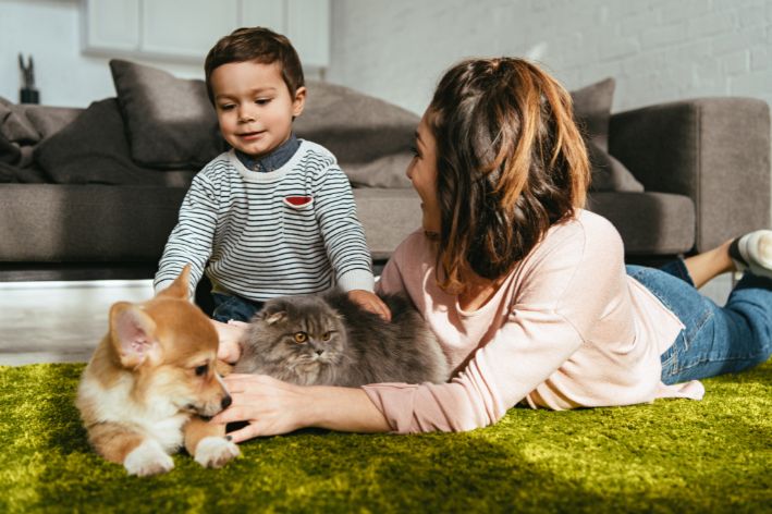 Pet mother with her cat and dog and human child