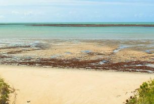 Porto Seguro - Guía de viaje, consejos turísticos y alojamiento