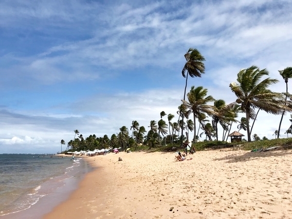 best guesthouse in Praia do Forte 