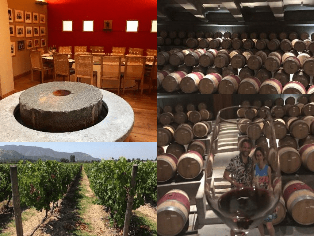 Tour and lunch at Viñas Montes winery