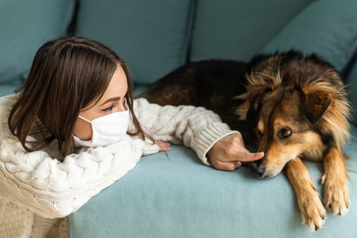 owner petting my dog ​​wearing a mask