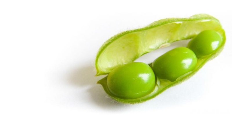 Edamame: Green Soybeans