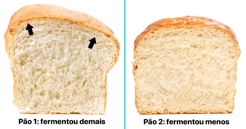 Comparison between bread that fermented too much and less