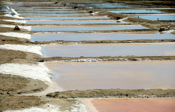 French salt pan