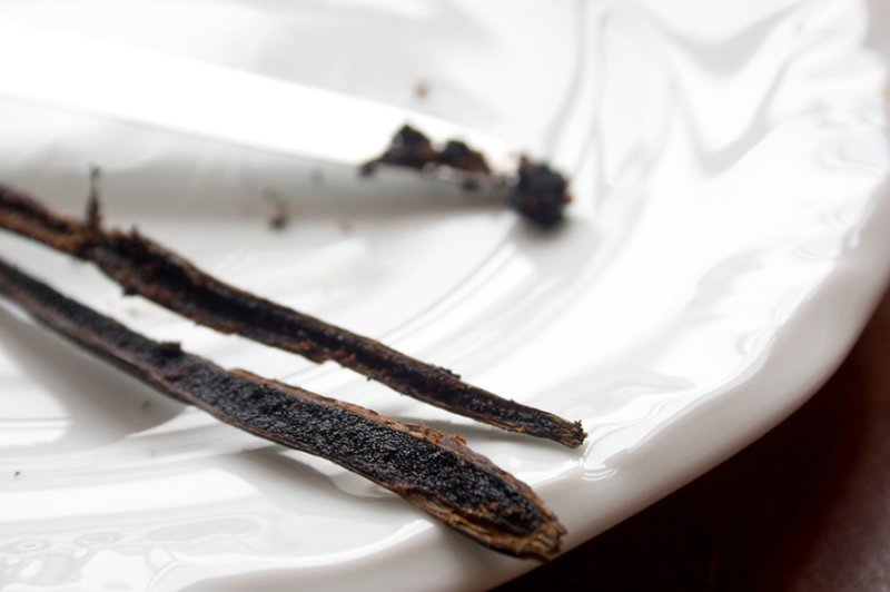 Ingredients: Vanilla Bean - How to Buy