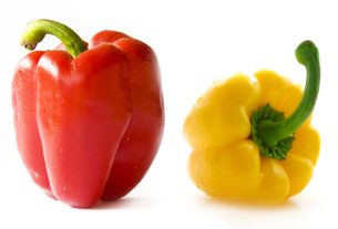 Male and Female Peppers Do Not Exist