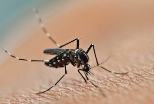 11 main sequelae and complications of dengue