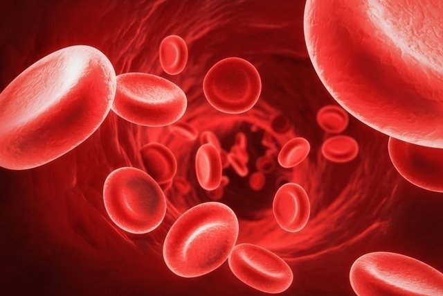 Hemoglobin: what it is, values ​​(and why it is high or low)