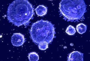 Lymphocytes: what they are and why they are high or low