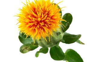 What is Safflower used for and how to use it