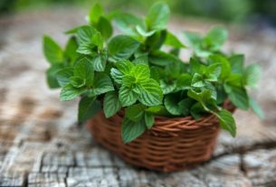 Peppermint: what it is for and how to use it