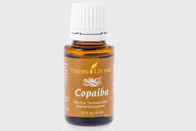 Copaiba oil: what it is for, how to use it and side effects