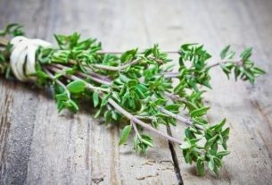 Thyme: what it is, what it is for and how to make tea