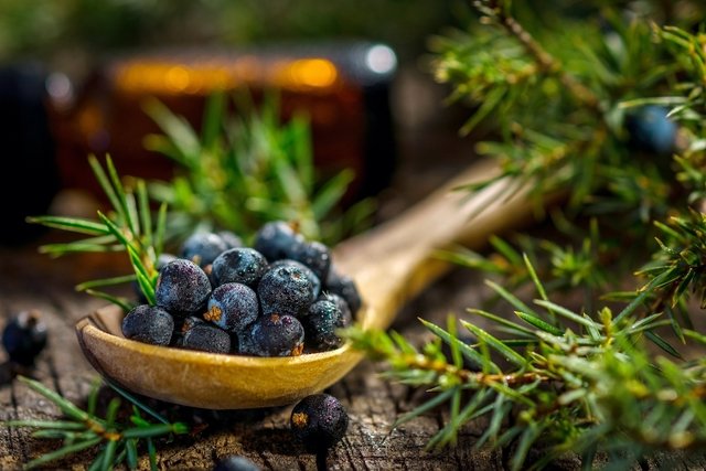 Juniper: what it is, what it is for and how to consume it