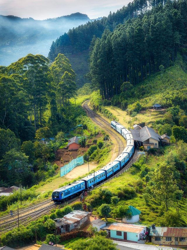 5 pleasant train routes in India to take this summer
Mar 26, 2024