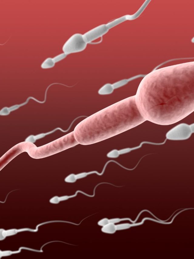 8 Foods To Increase Your Sperm Count Instantly