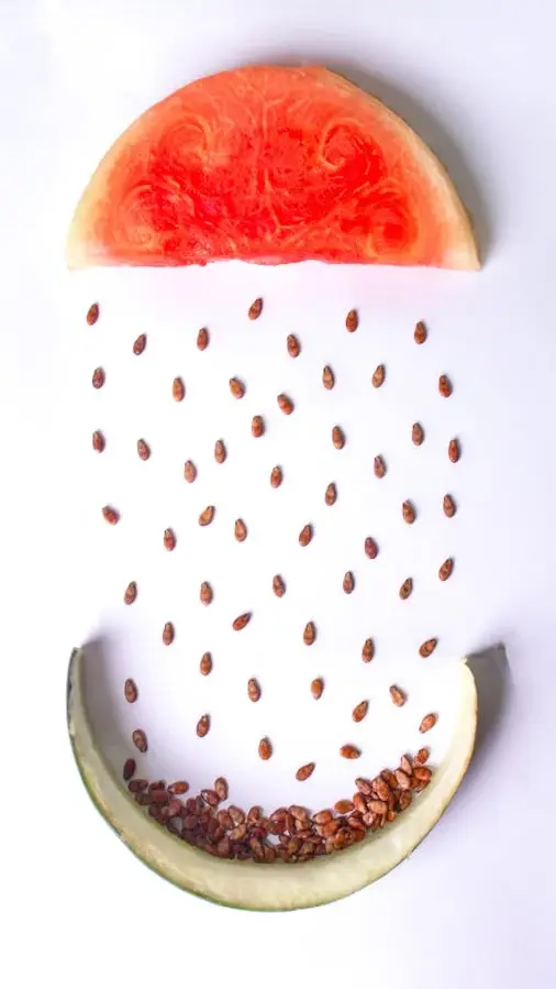 8 surprising health benefits of watermelon seeds