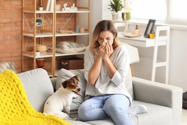 Alergia: o que é, tipos, sintomas e tratamento