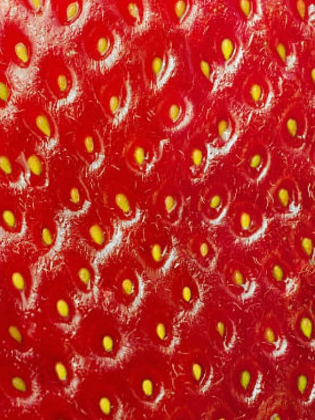 All you need to know about strawberry legs