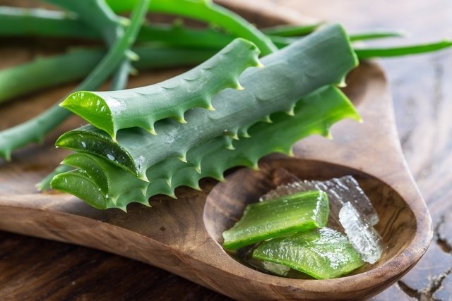 Aloe vera: 12 main benefits (and how to use)