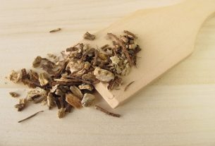 Angelica: what it is for and how to make the tea