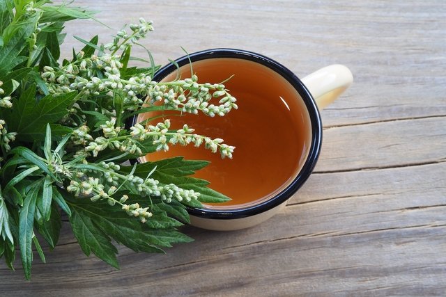 Artemisia: what it is for (and how to make tea)