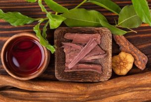 Ayahuasca: what it is, effects on the body and benefits