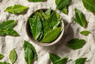 Bay leaves (laurel tea): what they are for and how to make the tea