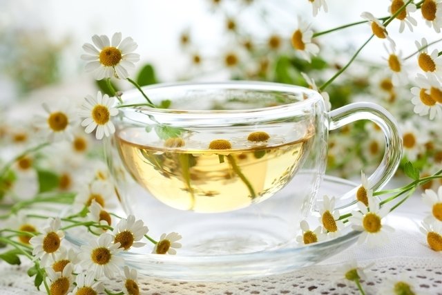 Chamomile tea on the skin: what it is for and how to use it