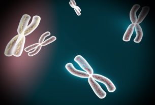 Cytogenetics: what it is, what it is for and how it is done