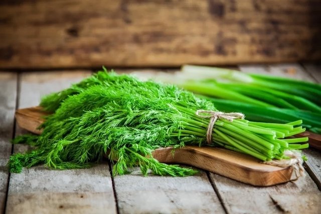 Dill: what it is for and how to prepare tea