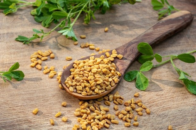 Fenugreek: what it is, what it is for (and how to use it)