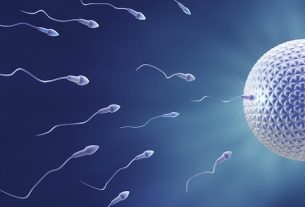 Fertilization: what it is and how to know if it happened