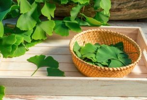 Ginkgo biloba: what it is, benefits and how to take it