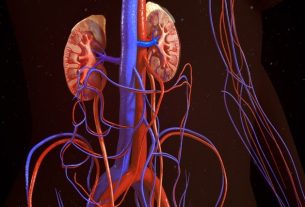 Glomerular Filtration Rate (GFR): how to determine and normal values