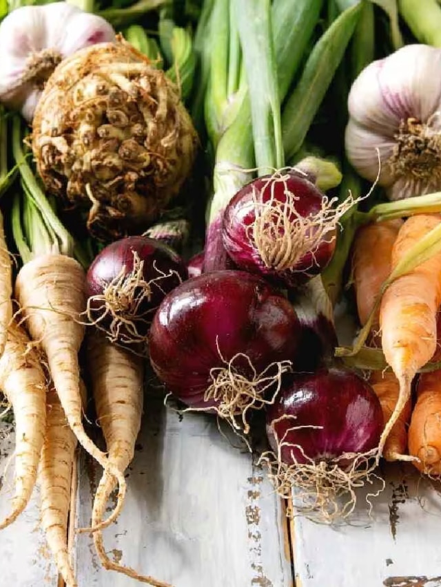 Top 7 des légumes racines pour perdre du poids