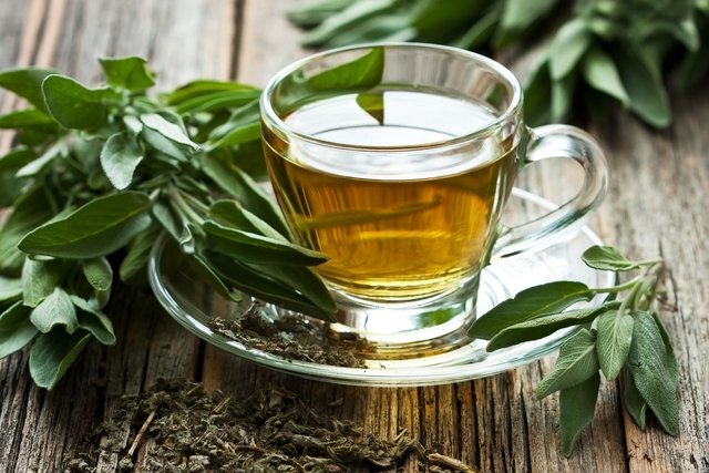 Green tea: 13 health benefits (and how to prepare)