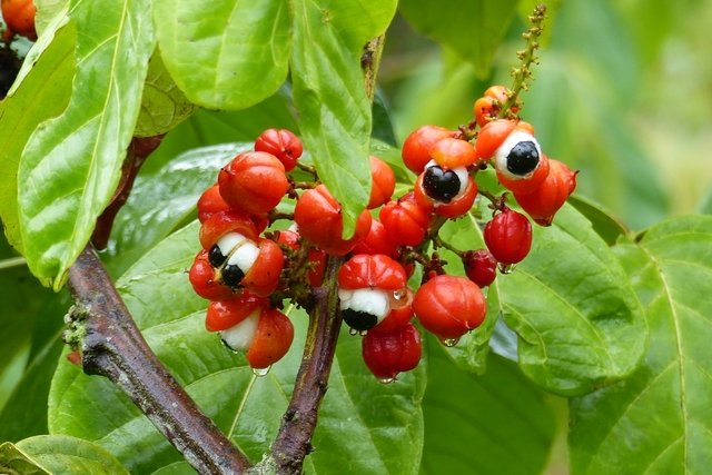 Illustrative image number 1