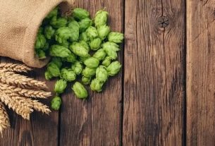 Hops: what it is, what it is for and how to use it