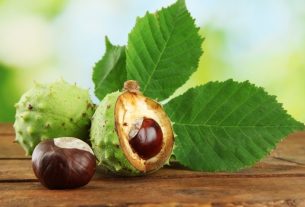 How to use horse chestnut for poor circulation