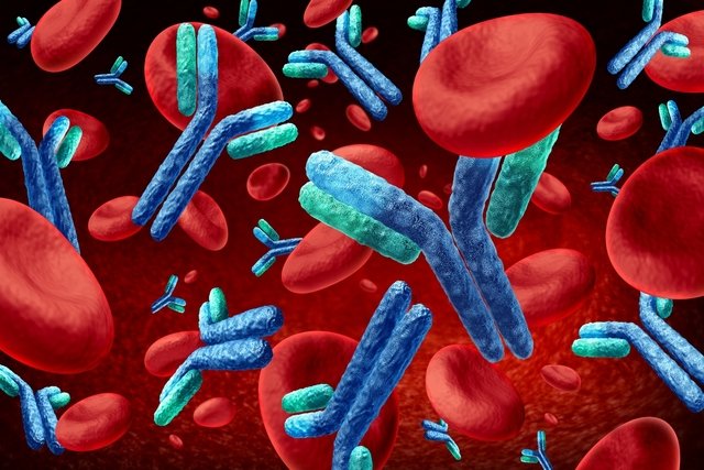 Immunoglobulin A (IgA): what it is, what it is for and why it is high or low