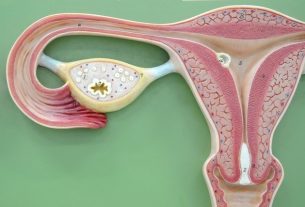 Late ovulation: what it is, symptoms, causes and what to do