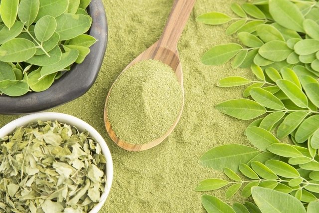 Moringa: 16 main benefits (and how to make tea)