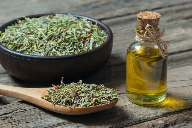 Oregano oil: what it is for and how to use it